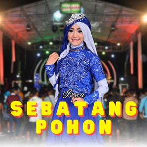 Sebatang Pohon