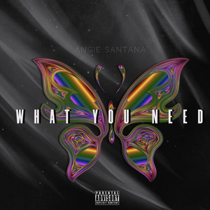 What You Need (Explicit)