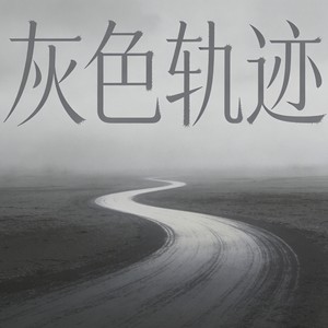 灰色轨迹 (深情粤语女版)封面