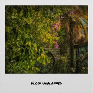 Flow Unplanned