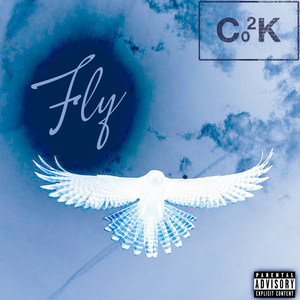 Fly (Explicit)