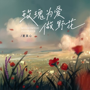 玫瑰为爱做野花