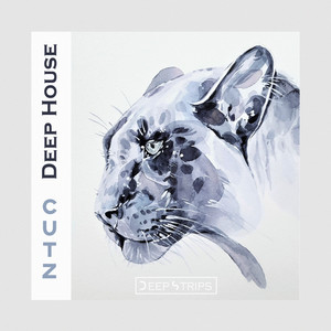 Samb (Elegant Ape Remix)