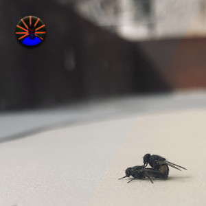 雨中的装裱作坊