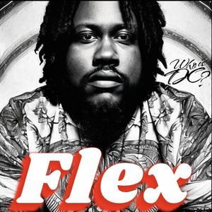 Flex (Radio Edit)