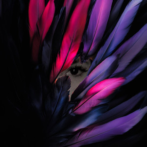 Energy over Evidence