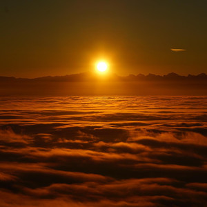 Of Paradise