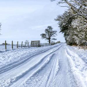 Silent Blizzard (Explicit)