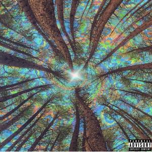 Blissful (feat. Frankie Fetty) (Explicit)