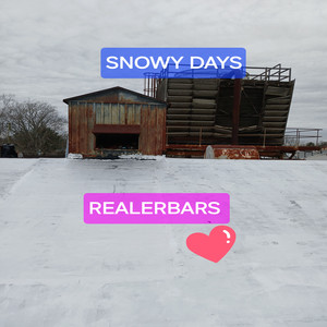 REALERBARS - Do Me a Favor (Explicit)