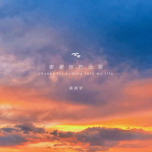 谢谢你的出现