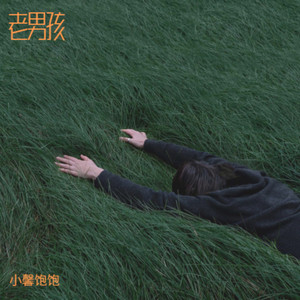 老男孩（当初的愿望实现了吗）