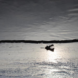 The One That Got Away