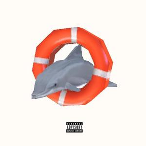 save the dolphins (Explicit)