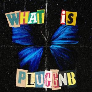 What Is Pluggnb (Explicit)