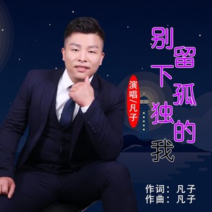 别留下孤独的我