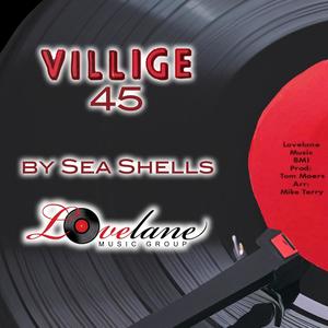 Villige 45