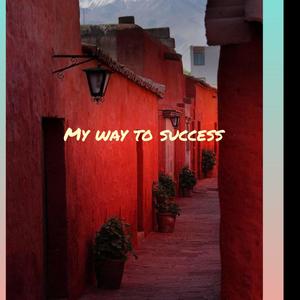 My way to success