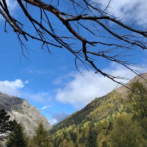 一天一天 (钢琴版)