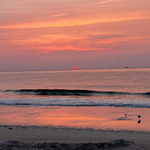 MICHELIN GYAL (Explicit)