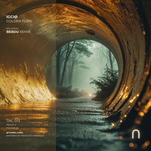 Golden Flow (Berdu Remix)