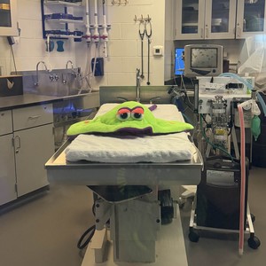 emergency room (Explicit)