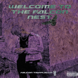 Doing Everything I Can (Explicit)