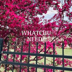 Whatchu Need (Explicit)