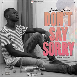 Don't Say Sorry (Explicit)