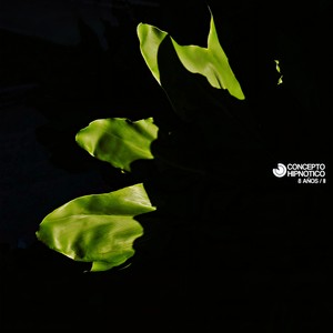 Edge Of Limit (Original Mix)