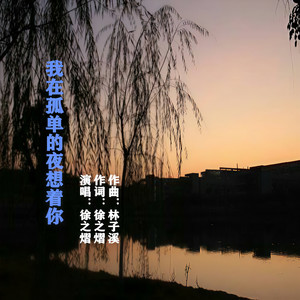 我在孤单的夜想着你