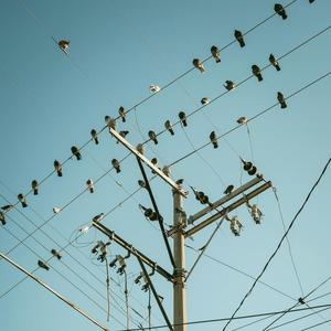 Pajaritos (Explicit)