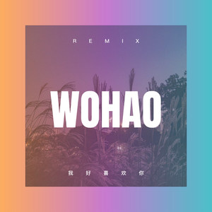 你的眼角流着我的泪 (DJ版)