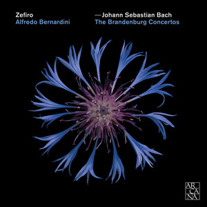 Concerto No. 2 in F Major, BWV 1047 - III. Allegro assai