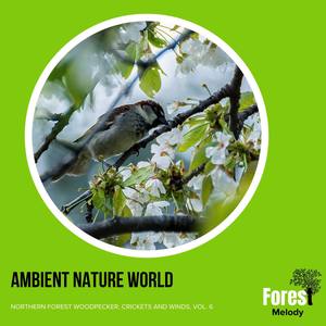 Ambient Nature World - Northern Forest Woodpecker, Crickets and Winds, Vol. 6