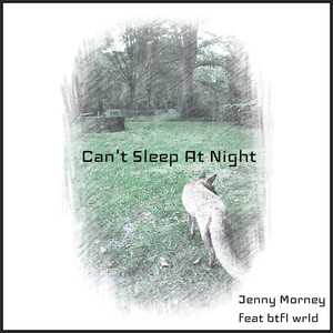 Can't Sleep At Night