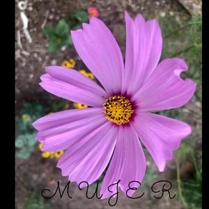 Mujer(En Vivo)