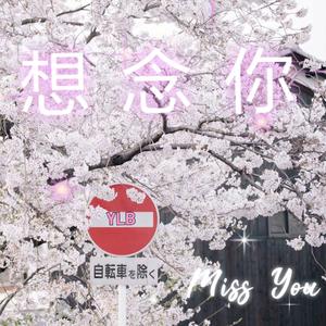 群星-想 (YLB Remix)