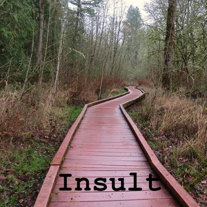 Insult