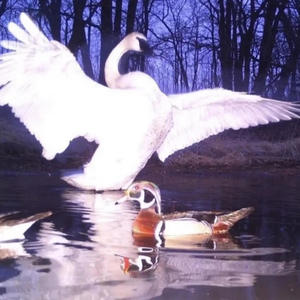 Unknown (feat. nate b & Neato) (Explicit)