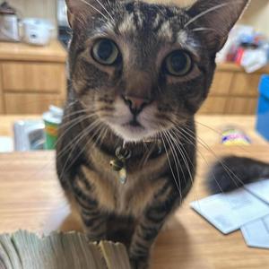 Shooting Range (feat. Juicemanhoe) (Explicit)