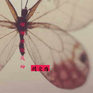 谢谢你给我的