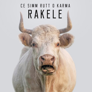 Ce simm rutt o karma