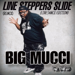 Line Steppers Slide (LineDance Edition) [Remix]