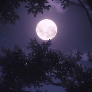 月亮代表我的心-卷笔刀阿卷