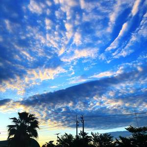 more than that（远不止此）