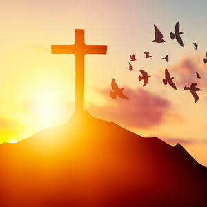 Frontier - Passion Jamboree