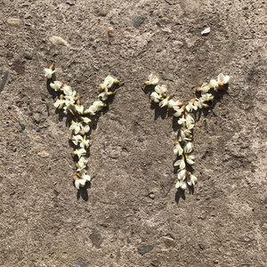 消防版明天你好