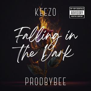 Falling in the Dark (feat. KEEZO)