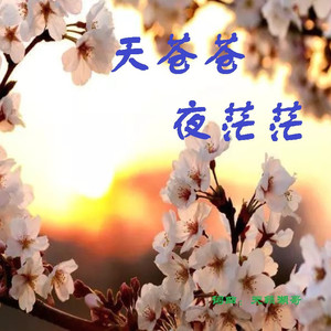 天籁湖哥 - 夜雨